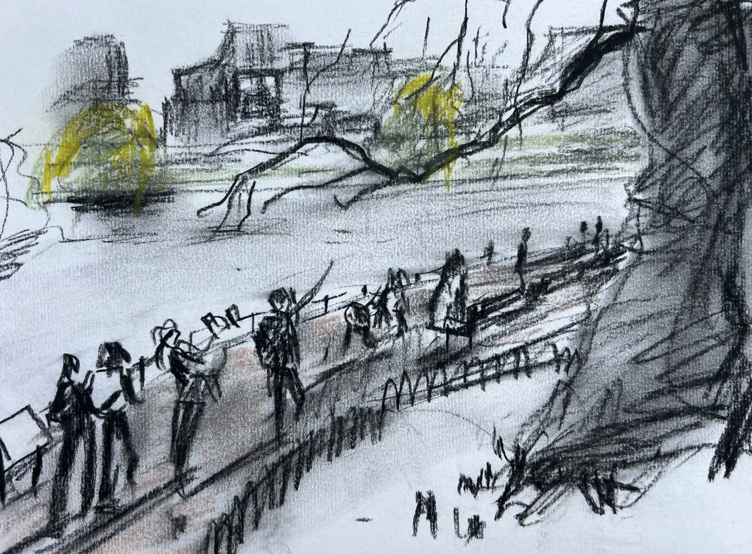 St. James Park's tree